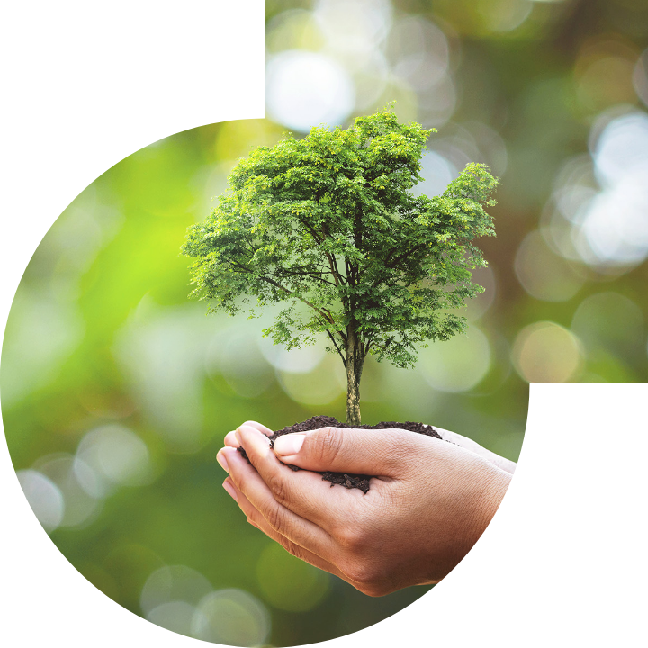 �P��������Ļ����h���c���